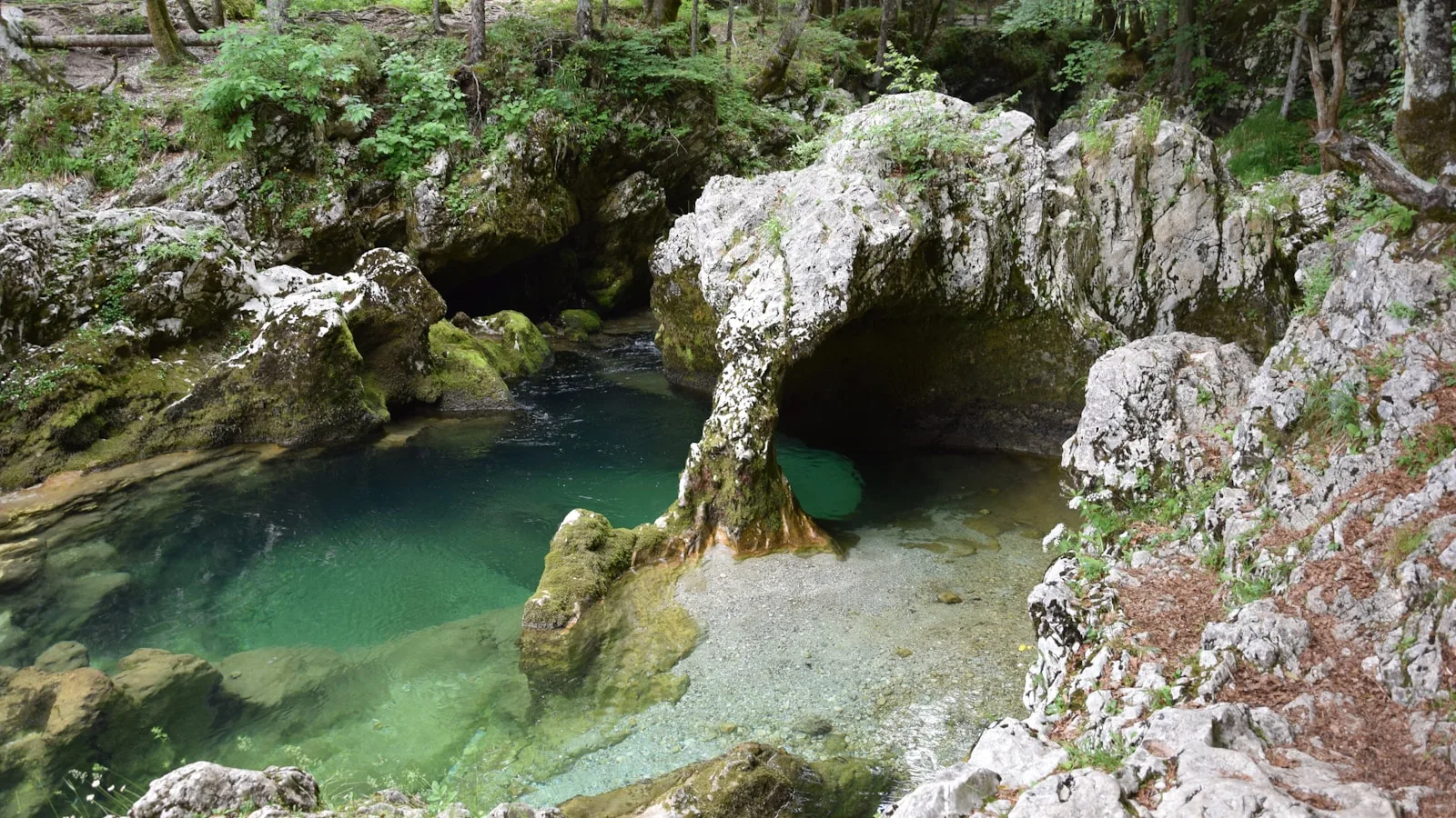 ️ Le canyoning dans les Alpes Juliennes